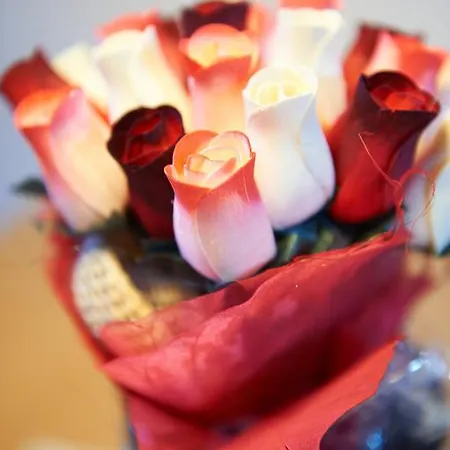 بيت ضيافة Gaestehaus Emmi كلينارل